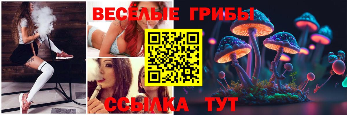 Псилоцибиновые грибы Cubensis  Галлюциногенные грибы Psilocybine cubensis  Шебекино  Вход с VPN 