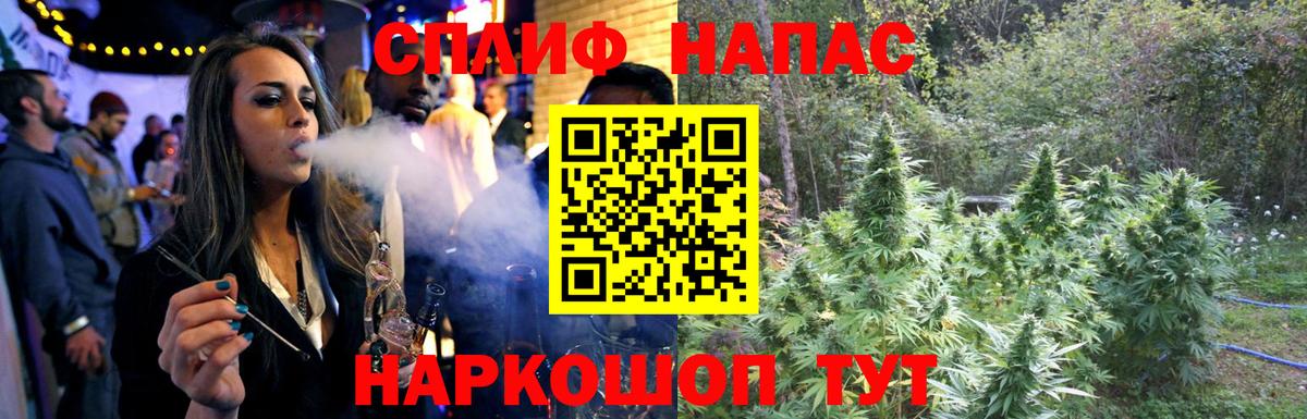Бошки марихуана планчик  Бошки Шишки гибрид  Марихуана план  Шебекино  Вход с VPN 